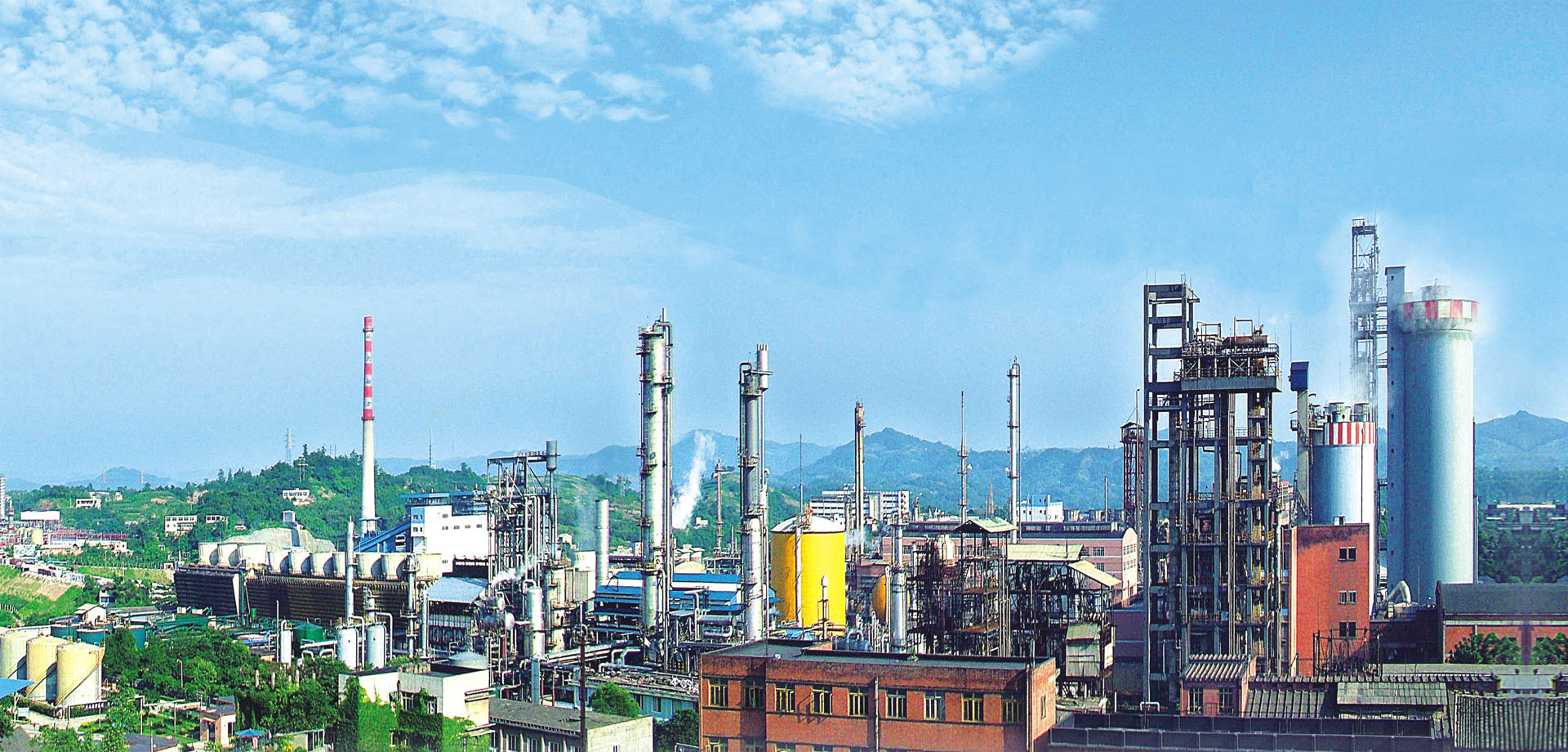 國肥行動 | 專訪瀘天化九禾馮學寧 緊跟時代步伐，勇立創新潮頭